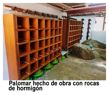 Palomar de palomas mensajeras